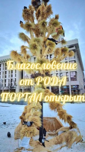 Благословение от РОДА  Портал открыт. #вселеннаяя #род #оберег