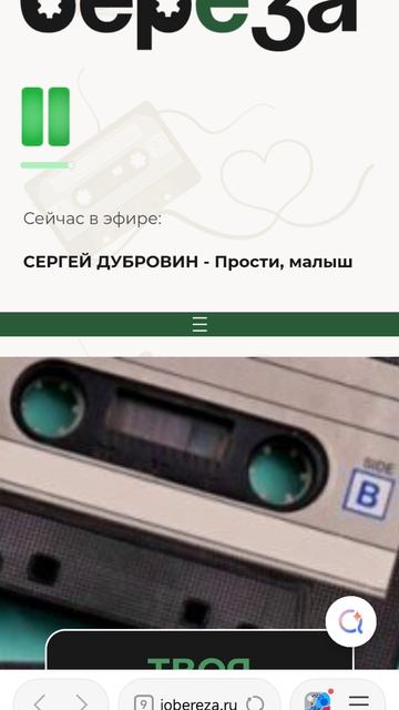 Сергей Дубровин - Прости Малыш на радио Береза смотреть онлайн