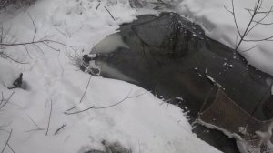 проверка рыболовных снастей