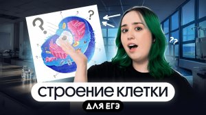 СТРОЕНИЕ КЛЕТКИ ДЛЯ ЕГЭ ПО БИОЛОГИИ 2026💚
