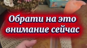 На что важно обратить внимание сейчас 🔆❤️🔥🔮Таро