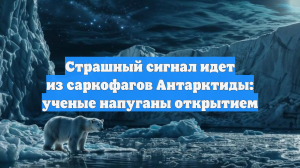 Ученые напуганы открытием: страшный сигнал идет из саркофагов Антарктиды