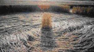 "ЗАКОЛДОВАННЫЙ КРУГ" Любовь Пузикова - музыка и монтаж клипа, слова Вадима Делоне, исп. Н.Барашков