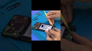 Ребенок СПЕЦИАЛЬНО утопил TECNO SPARK GO, чтобы заполучить Apple iPhone. Реально?