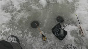 Рыбалка зимой со льда Дубна