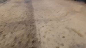 ПОЛЕЗНО ГУЛЯТЬ ВЕЧЕРОМ. МАСКИ ВСЕ СБРОСИТЬ. МОЖЕТ БЫТЬ Я НАИВНЫЙ.. ДО ЛЮБВИ ГОЛОДНЫЙ......