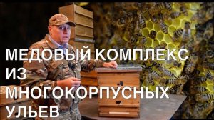 МЕДОВЫЙ КОМПЛЕКС ИЗ МНОГОКОРПУСНЫХ УЛЬЕВ