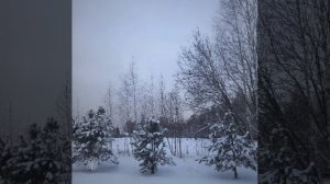 Зимы награда © Copyright: Бронислав Сычёв, 2025
Свидетельство о публикации №125123003275