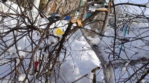 .Снежная Кубань