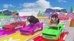 МУЛЬТИКИ ДЛЯ МАЛЫШЕЙ. Веселые ЗВЕРЯТА. Красочный занимательный МУЛЬТИК ДЛЯ ДЕТЕЙ.