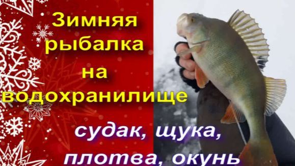 Успешная рыбалка на водохранилище. Судак, щука, плотва, окунь. смотреть онлайн