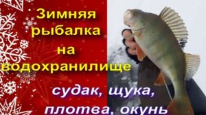 Успешная рыбалка на водохранилище. Судак, щука, плотва, окунь.