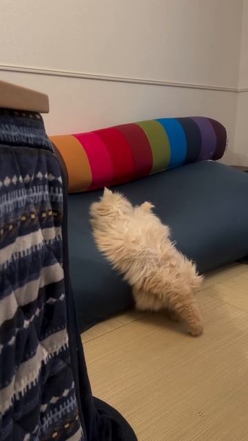 Состояние нележания смотреть онлайн