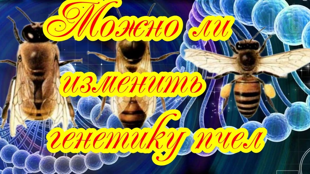 Можно ли изменить генетику пчелы ? смотреть онлайн