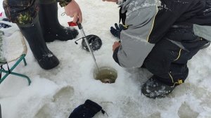 Основной водоём. Поимка форели.
