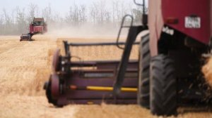 В ГД рассказали о зарплате водителей тракторов и комбайнов в сезон полевых работ