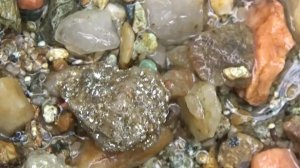 Нашёл россыпь Золота в ручье!