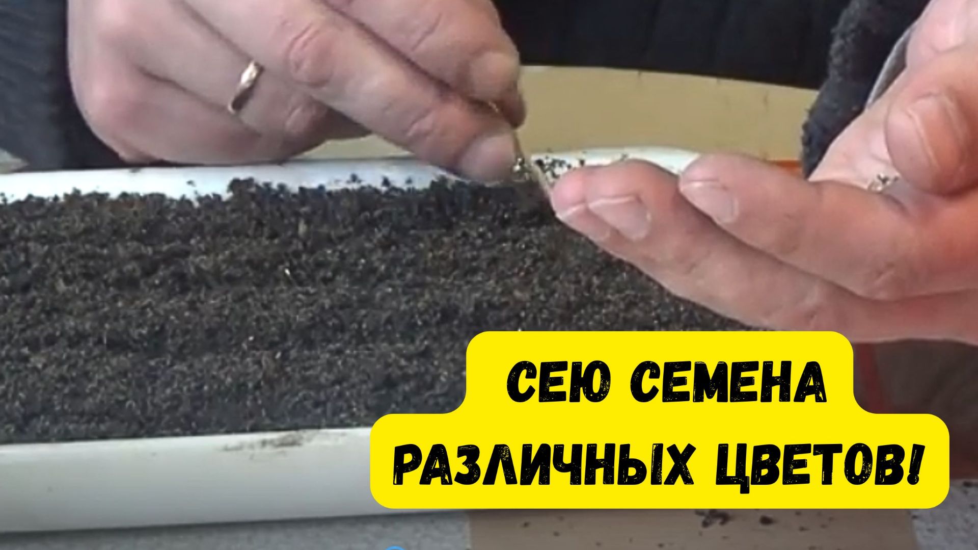 КАК ПРАВИЛЬНО ПОСЕЯТЬ ЦВЕТЫ В ДОМЕ! ВАЖНЫЕ НЮАНСЫ И ТОНКОСТИ. ШАГ 1. смотреть онлайн