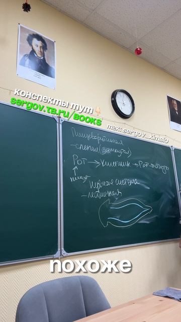 Нервная система плоских червей смотреть онлайн