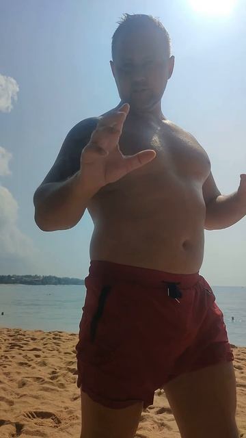 Пляжный контроль кошмарит туристов на Шри-Ланке смотреть онлайн