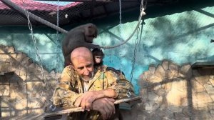 Пока папа сидит с Люсей и Анфисой Маня облюбовала Алину,Степа меня,а Тося пытается привлечь внимание