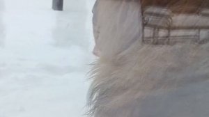 CIPM8330 Шархан  02 02 2026 Видео от опекуна Светланы