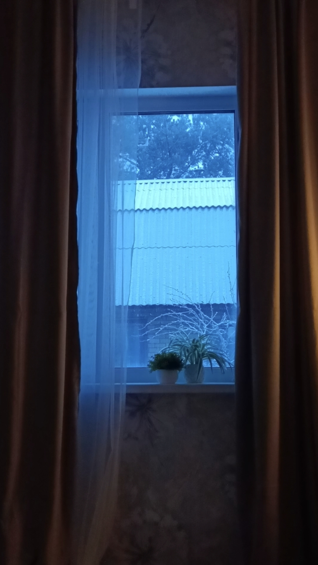 К нам тоже пришла зима!❤️ смотреть онлайн