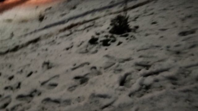 24 часа на леденой горке челлендж смотреть онлайн