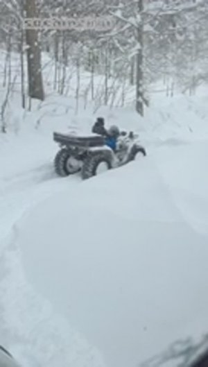 в поиске приключений