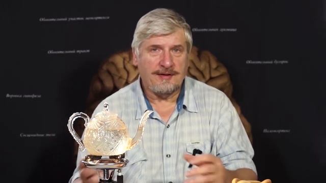 Как работает память Роль гиппокампа смотреть онлайн