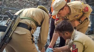 Разложившееся тело со вспоротым животом нашли около церкви