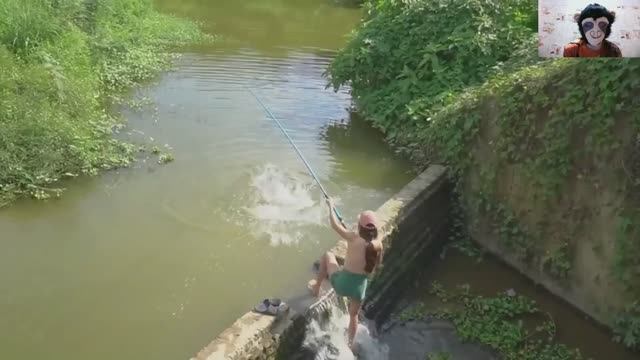 Эта рыба не ожидала встретить такую соперницу! смотреть онлайн