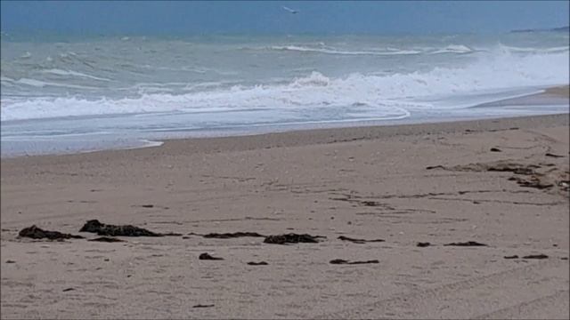 Севастополь. Сводка погоды с пляжа Любимовка-1 за 2.01.2026г. смотреть онлайн