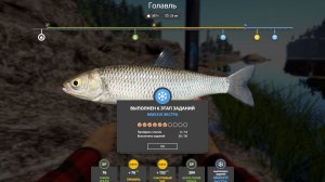 НОВОГОДНИЕ ЗАДАНИЯ ЭКСТРА  6 ЭТАП - РУССКАЯ РЫБАЛКА 4