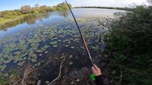 РЫБАЛКА НА ПОПЛАВОЧНУЮ УДОЧКУ