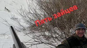 Охота на зайцев 2026