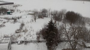 Погода на сегодня в Санкт-Петербурге