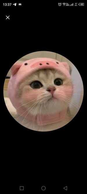 утренняя трансляция я не выспалась 😅