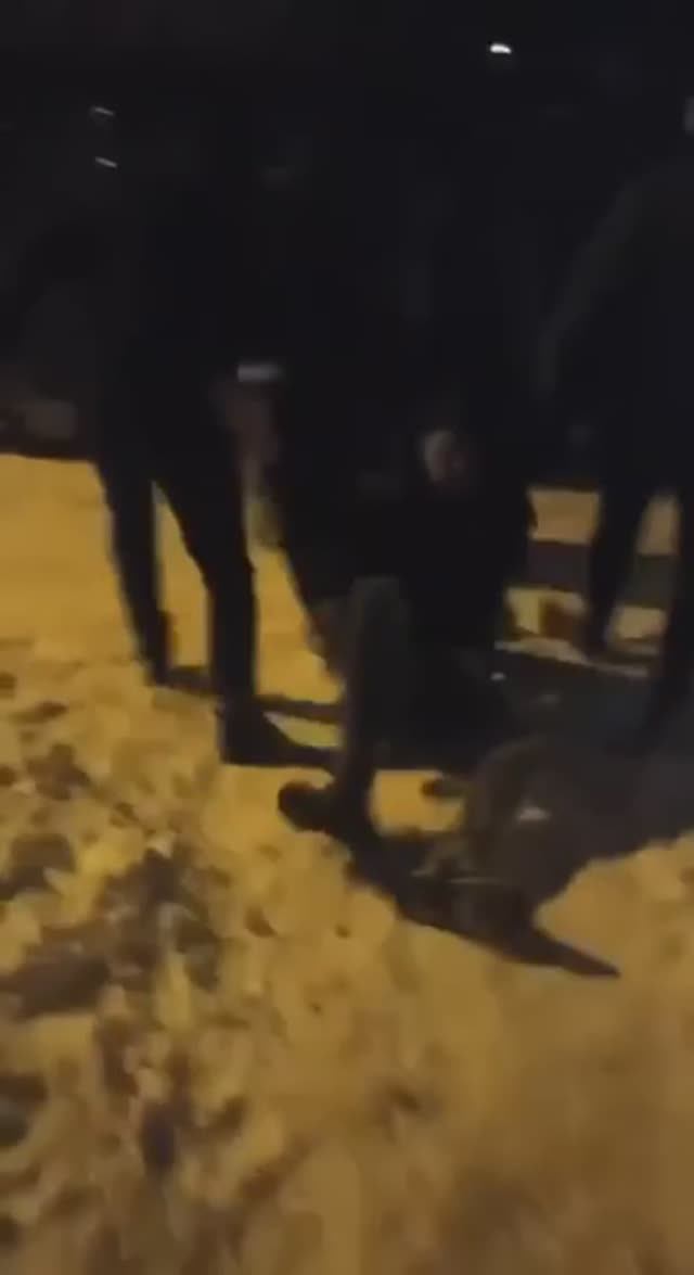 Подворотни Харькова в Новогоднюю ночь ❄ смотреть онлайн