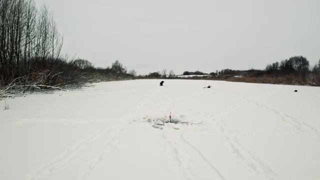 ПЕРВЫЙ ЛЁД ЖЕРЛИЦЫ ЗИМА 2025-2026ЩУКА 7.200кг. смотреть онлайн