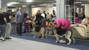 Класс чемпионов