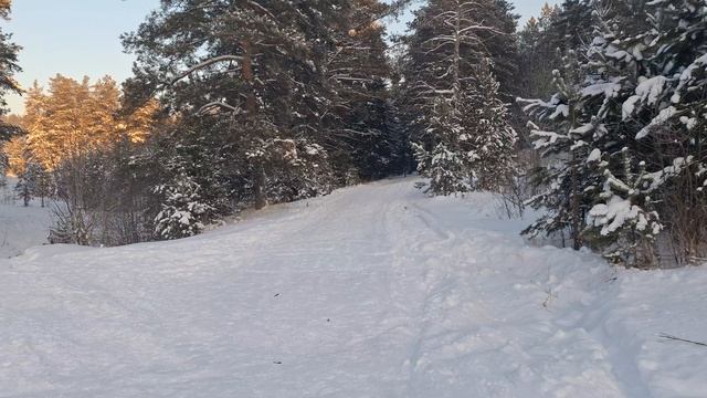03-01-2026 мы пошли гулять в уральский лес смотреть онлайн