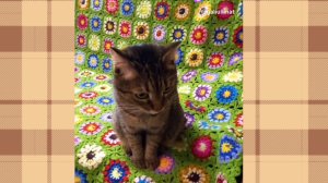 Мои вязаные изделия для уюта дома из давних.