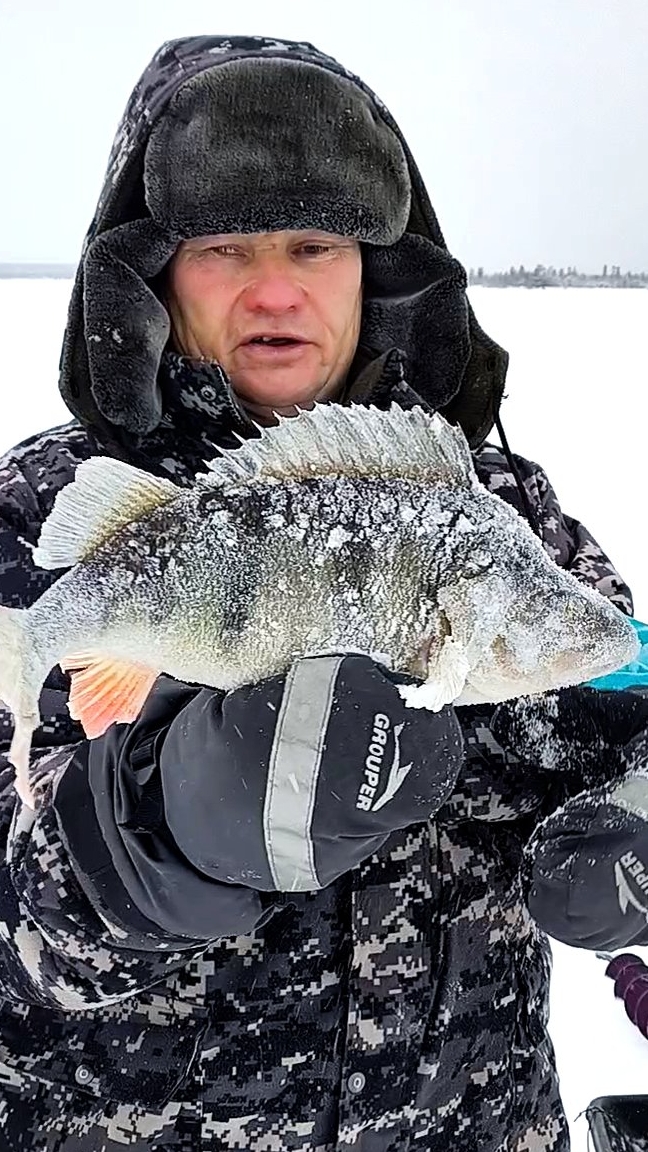 Окунь закилошник на удочку. Под Новый Год смотреть онлайн