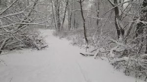 20260103 лёд на реке Зимняя сказка левый берег реки Орлик Колхозный мост Советский район город Орёл