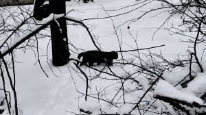 Скоро вечер...