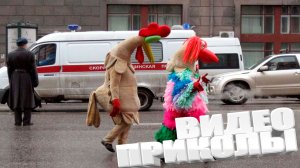 ВИДЕОПРИКОЛЫ \ КРУТЫЕ ПРИКОЛЫ 2025 \ НОВЫЕ ПРИКОЛЫ \ СМЕШНЫЕ ПРИКОЛЫ 2025 ЮМОР