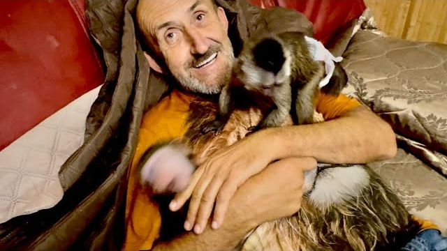 Финик и Анфиса продолжают ДЕЛИТЬ папу Влада, никто не хочет уступать) смотреть онлайн