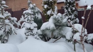 Зимняя тишина в «Русинов Сад»