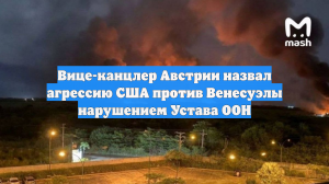 Вице-канцлер Австрии назвал агрессию США против Венесуэлы нарушением Устава ООН